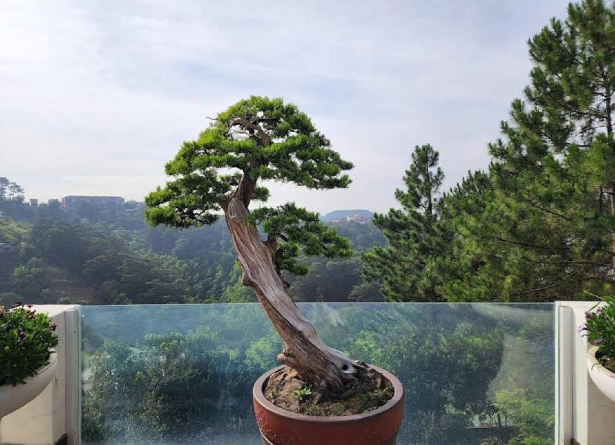 Villa Dieu Thong - Secrect Garden, View San May Va Nui Далат Екстер'єр фото